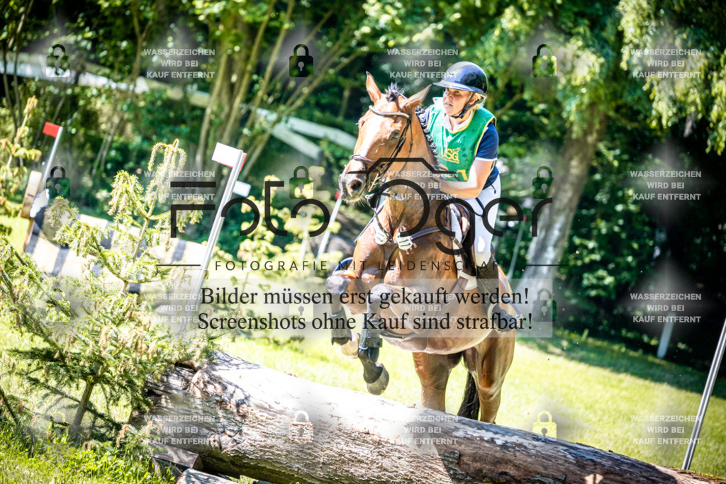 A1_Vielseitigkeitsturnier Melle Oldendorf-15c-0273 | Entdecke hochwertige Reitturnierfotos von Foto Oger. Professionell, emotional und authentisch – jetzt Lieblingsmomente im Shop bestellen.Deutschlandweite Turnierfotografie. - Realisiert mit Pictrs.com
