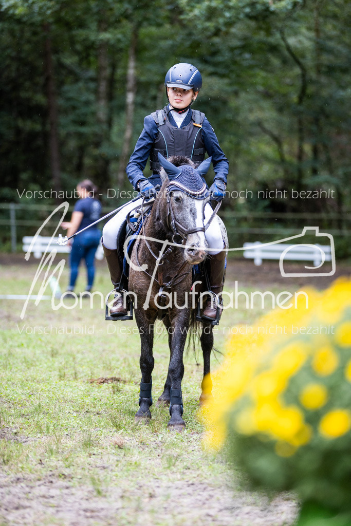 HB-Caprilli-036 | MomenTaufnahmen Pferdesportfotos