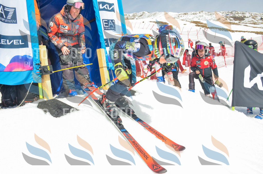 _ELE7294 | holidayphoto