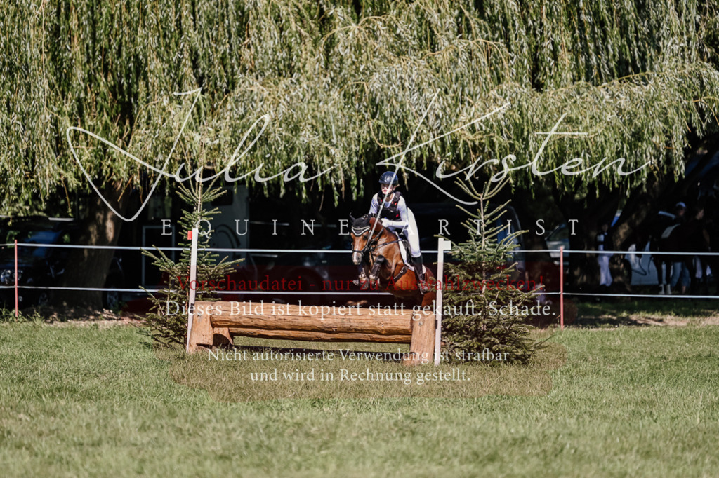 DSC_2944 | Pferde- und Turnierfotografie in Westsachsen. Pferdeportraits, Auftragszeichnungen und intuitive Kunst.