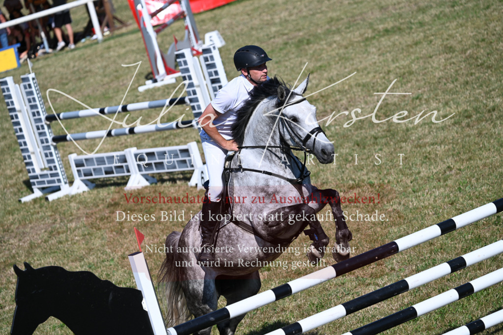 DSC_2232 | Pferde- und Turnierfotografie in Westsachsen. Pferdeportraits, Auftragszeichnungen und intuitive Kunst.