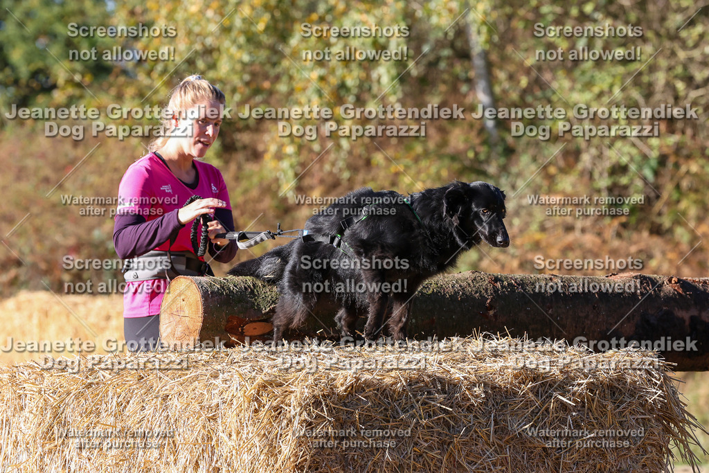 Dog Paparazzi - Strongdog 10-25-1903 | Dog Paparazzi Jeanette Grottendiek Fotografie & Videografie - Realisiert mit Pictrs.com