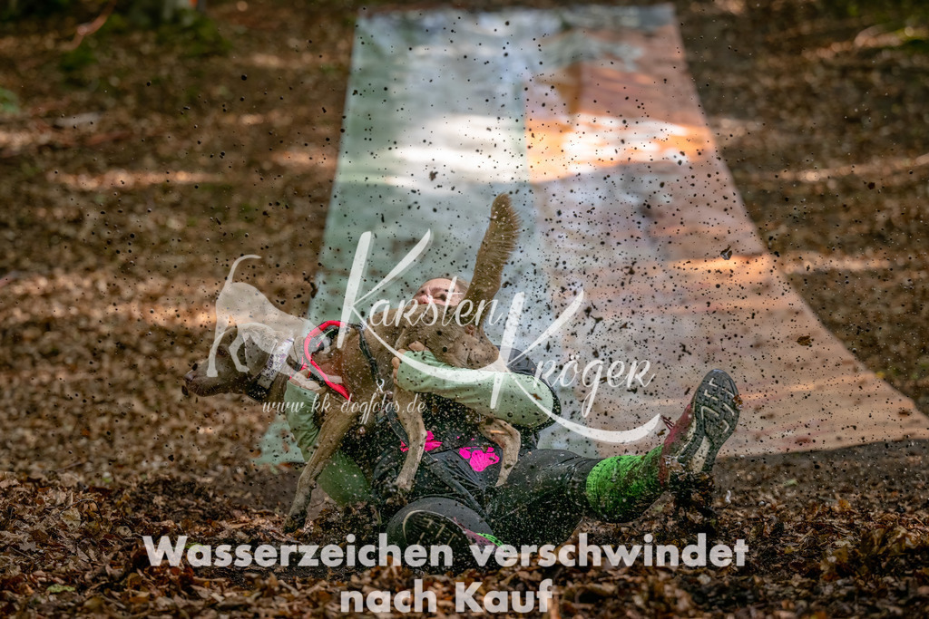 1219_ZZ94022-Bearbeitet | kk-dogfotos