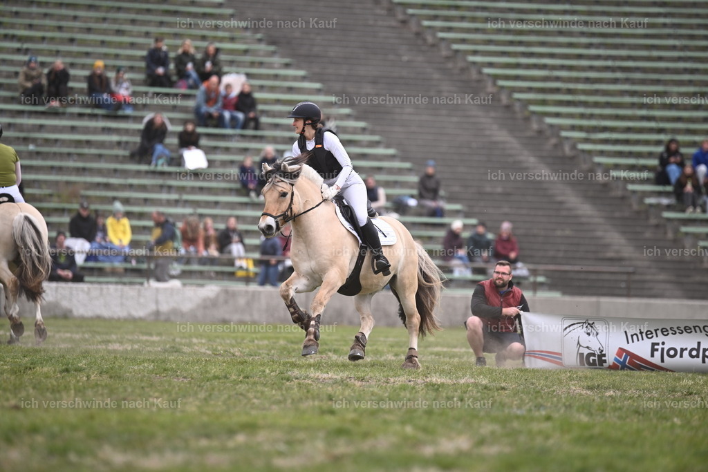 PI26_Show_Sara_Landvogt_226_0833.JPG | working equitationturnier fotograf videograf stoibphotography marixx film working equitation deutschland reitsport turnierfotografie eventfotografie equestrian events