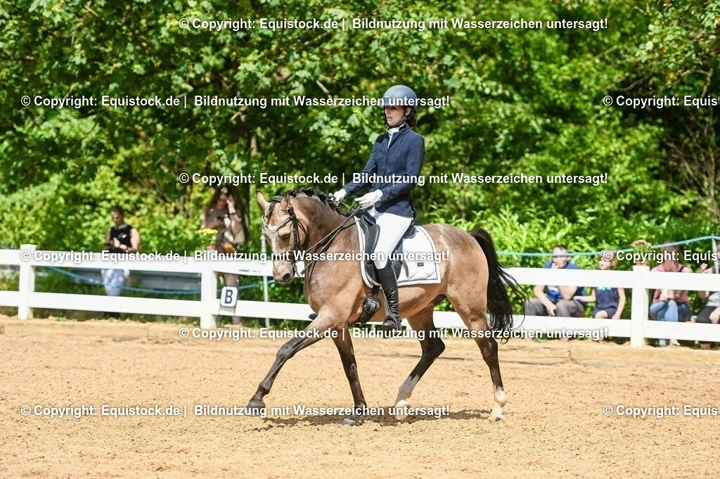 20230716_01_Dressurprüfung Kl.M_0200 | equistock