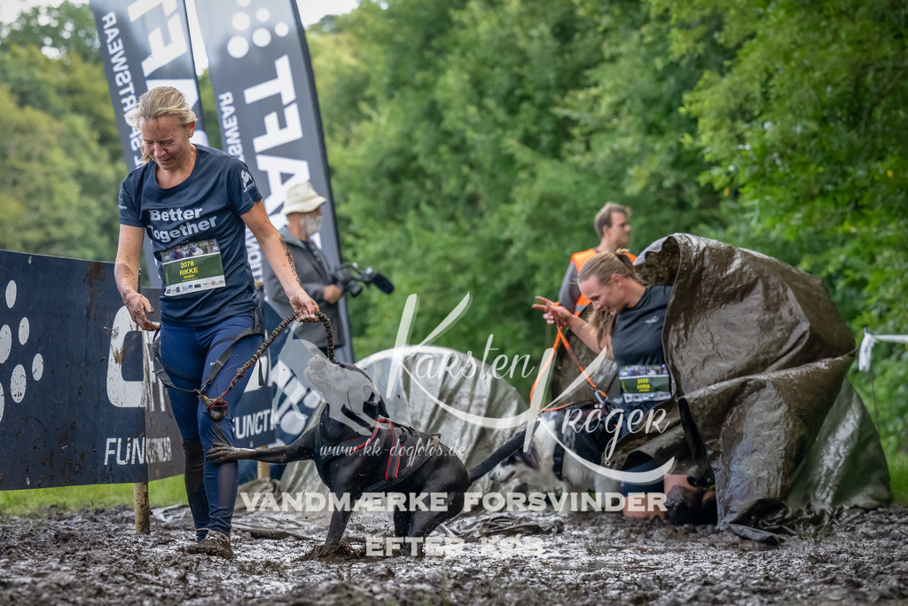 1155_ZZ90267-Bearbeitet | kk-dogfotos