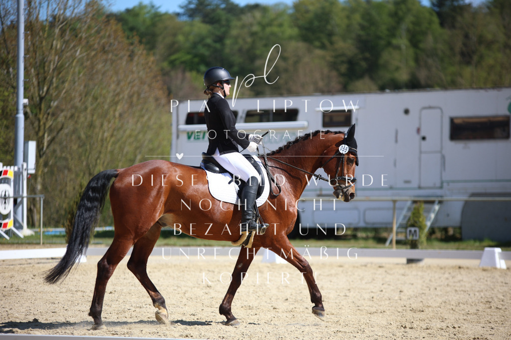 IMGT1936 | pl-fotografie