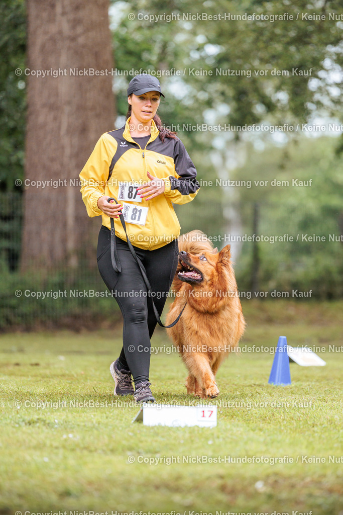 RO-Blumenthal-2026-Nickbest-Hundefotografie-3661 | Dein Hund! Dein Moment! Deine Erinnerungen! Hundefotografie in Bremen Blumenthal. Ich fange die besonderen Momente deines Vierbeiners ein – ob Indoor mit Blitzanlage oder in der freien Natur. Sicher dir dein Moment und dein Termin für eure Erinnerungen.