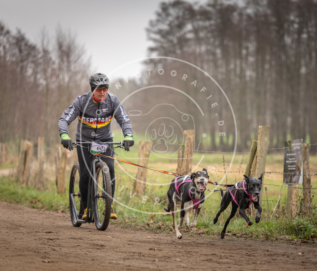 Pfotenfotografie_DV3A3235 | Hundefotografie, Tierfotograf, Pfotenfotografie, Fotoshooting Hund, Hunde Portrait, Hundesport, Hundeportraits, Heideshooting, Hunde, Sportfotograf, Hundefotograf, Turnierhundsport, THS,  - Realisiert mit Pictrs.com