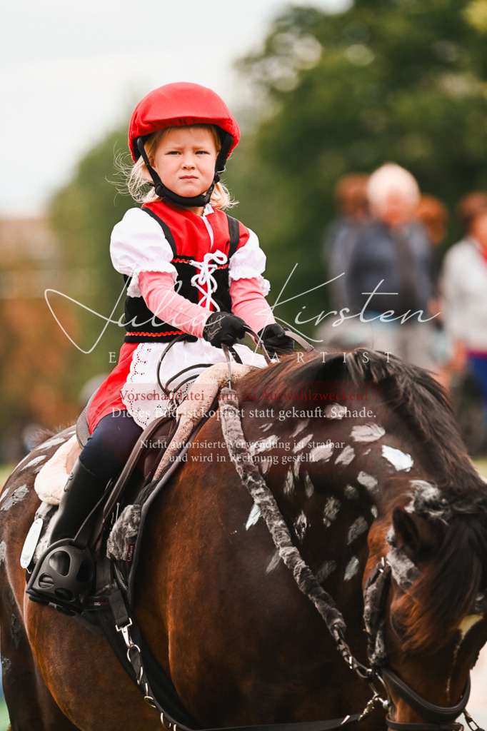 DSC_7385 | Pferde- und Turnierfotografie in Westsachsen. Pferdeportraits, Auftragszeichnungen und intuitive Kunst.