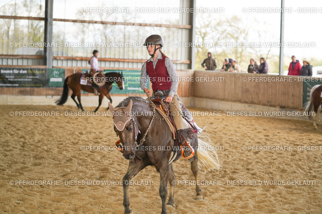 DSC08904 | Pferdegrafie