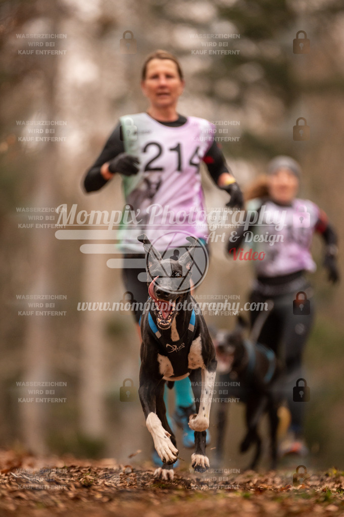AKM_ST_2023_SAM_Run-27 | PayLife