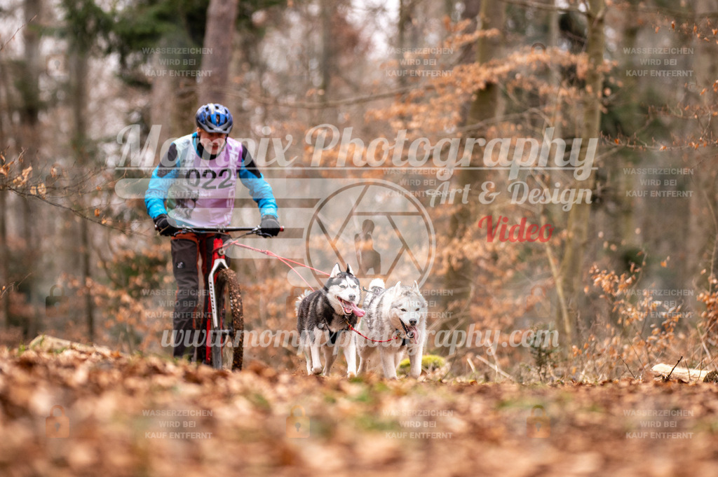 AKM_ST_2023_SAM_DS2-55 | mompixphotography