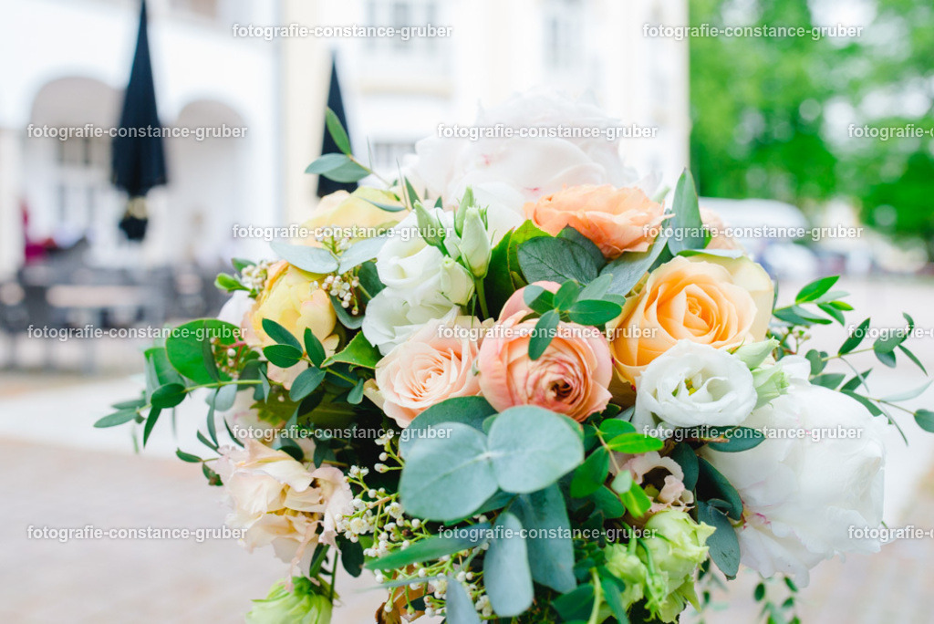 1013 | Fotografie Constance Gruber - Realisiert mit Pictrs.com