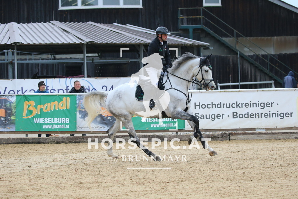 DL2Q2685 | Willkommen bei Brunnmayr - Design & Fotografie – Ihrem Spezialisten für Reitturniere und Pferdeveranstaltungen in Oberösterreich, Salzburg und Bayern! Seit über 17 Jahren sind wir leidenschaftlich dabei.