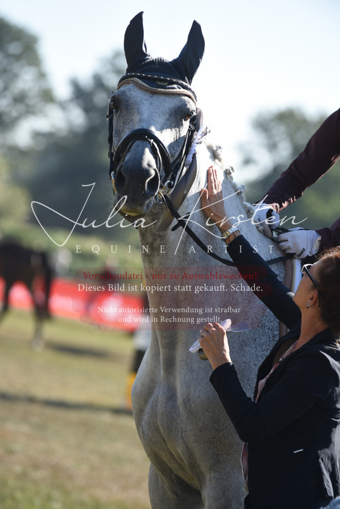 DSC_5442 | Pferde- und Turnierfotografie in Westsachsen. Pferdeportraits, Auftragszeichnungen und intuitive Kunst.
