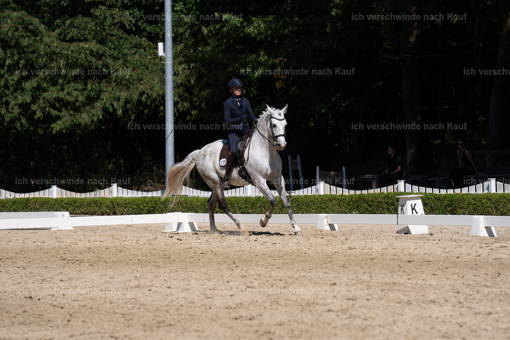 WS_DR_139_sinafilmart_IN03735 | working equitationturnier fotograf videograf stoibphotography marixx film working equitation deutschland reitsport turnierfotografie eventfotografie equestrian events