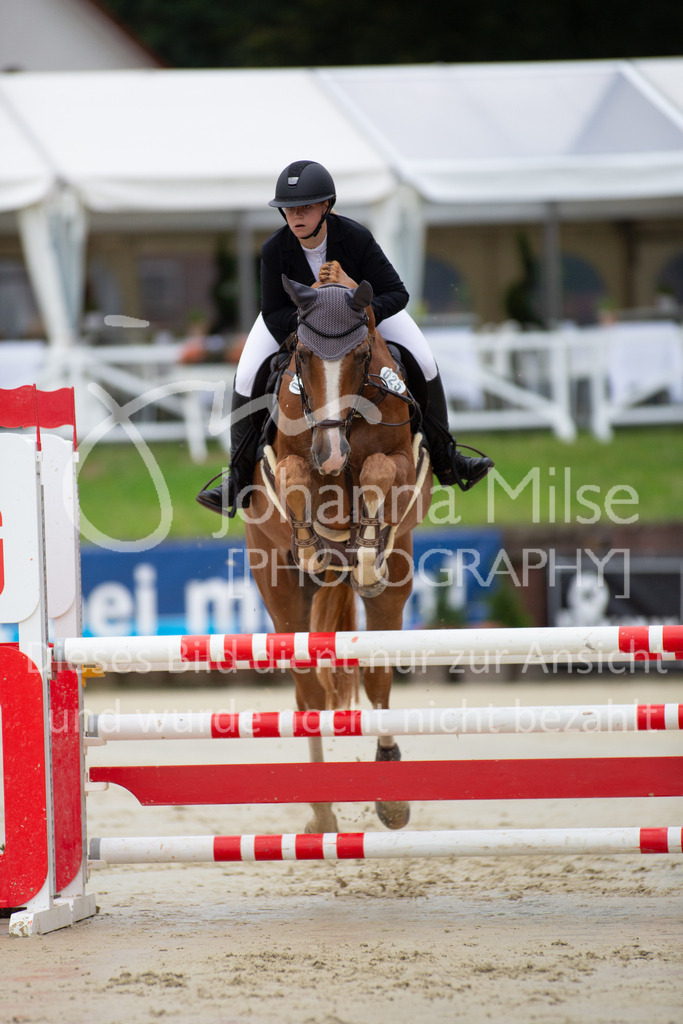 230729_BHO_Springprf.-A2013 | Deine schönsten Turniermomente als professionelle Fotos! Entdecke hochwertige Pferdesport-Fotografie im Online-Shop. Jetzt Fotos finden & bestellen!