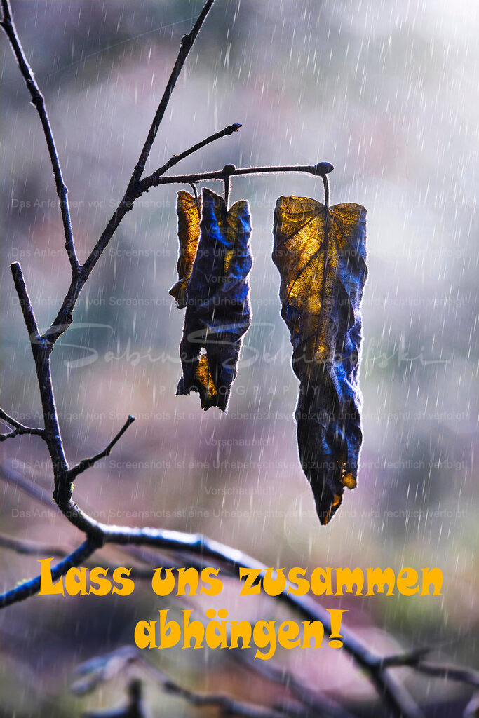 Postkarte "Lass uns zusammen abhängen" | People- und Tierfotografie, Imageaufnahmen, Veranstaltungsfotografie und Wandbilder aus der Natur ★ Made in Germany ✔️ Druck + Downloads ✔️ Naturfotografie in Top Qualität ★ schneller Versand, weltweite Lieferung! - Realisiert mit Pictrs.com