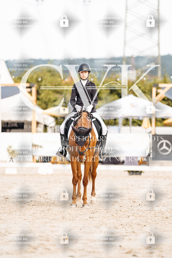 CK904614 | Turnierfotografie Pferdefotografie Trier Rheinland-Pfalz Pferdesport Reitsport Tierfotografie Sportfotografie Pferdevideo Pferdevideografie Equestrianvideography equestrianphotography  - Realisiert mit Pictrs.com