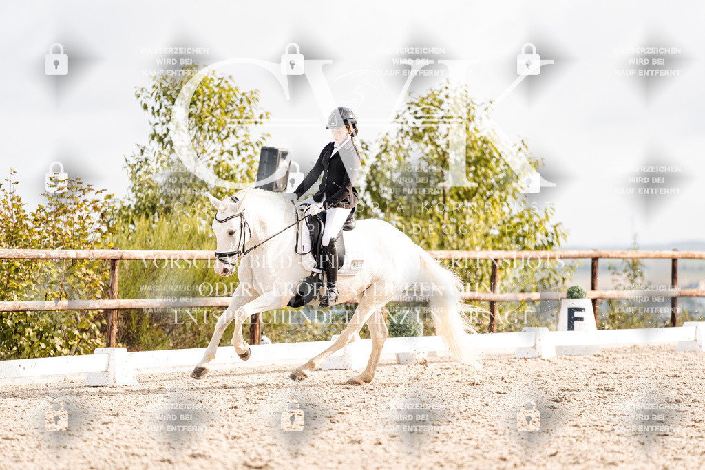 CK901268 | Turnierfotografie Pferdefotografie Trier Rheinland-Pfalz Pferdesport Reitsport Tierfotografie Sportfotografie Pferdevideo Pferdevideografie Equestrianvideography equestrianphotography  - Realisiert mit Pictrs.com