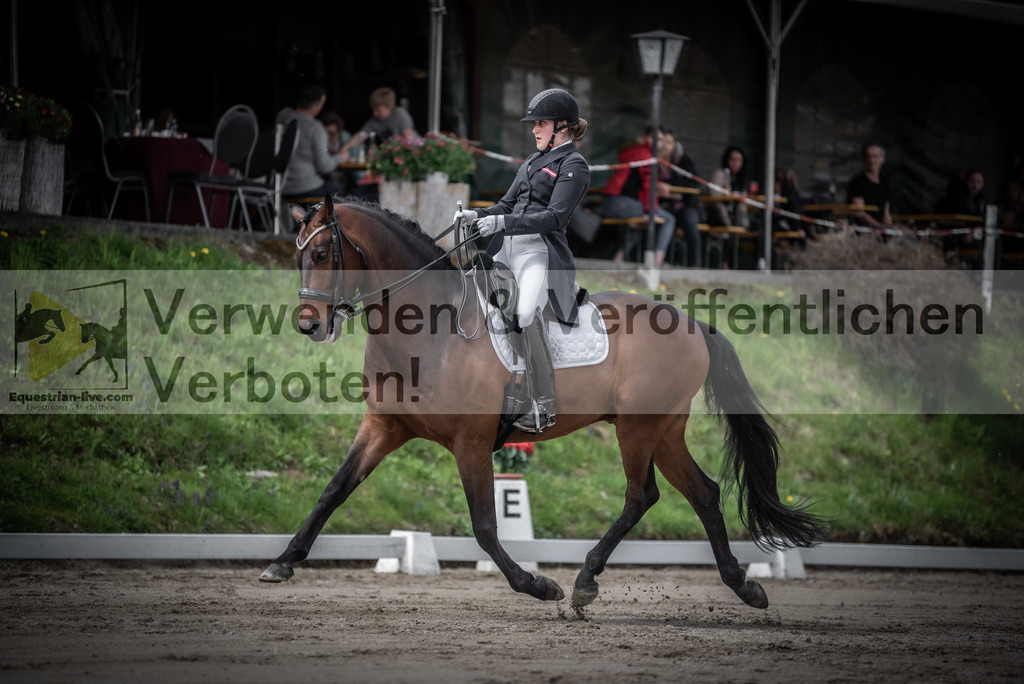 DSC_2447 | equestrian-live-com