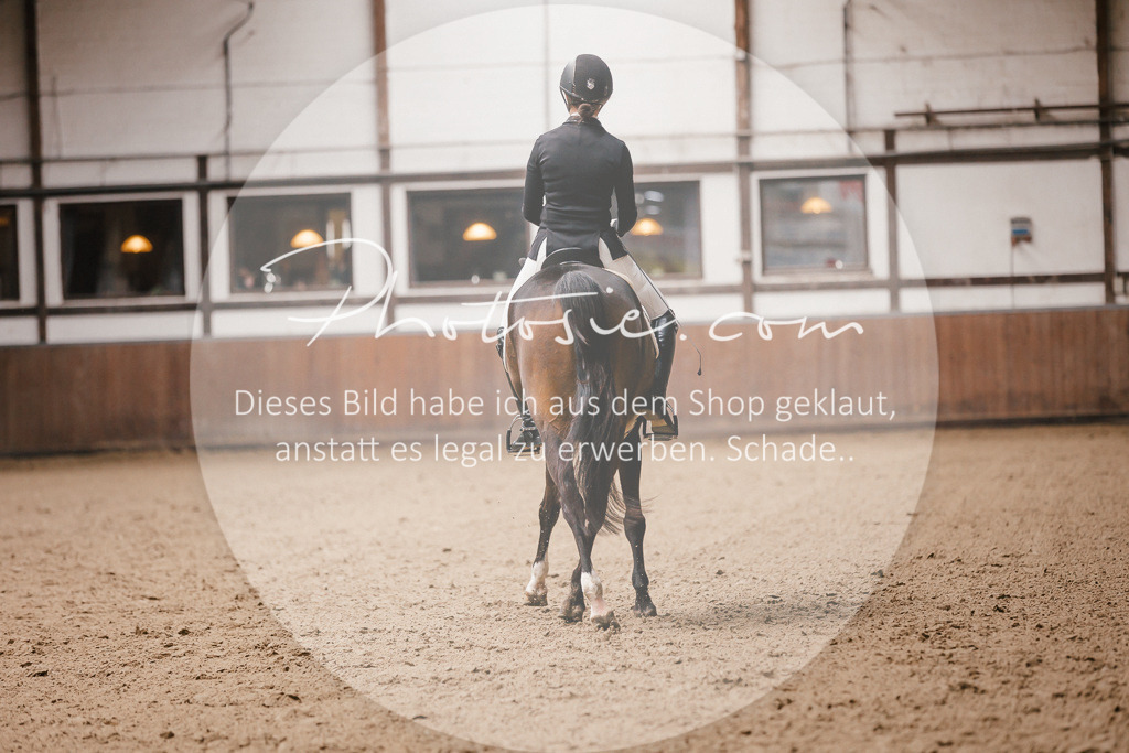 3I6A9024 | Stimmungsvolle Portraits und Reitsportfotografie im Ruhrgebiet und im Münsterland.

Pferdefotografie, Hundefotografie, Tierfotografie, Reportagen, Portraits von Tier und Mensch, Turnierfotografie in Bochum, Recklinghausen, Marl, Haltern am See, Dülmen.. - Realisiert mit Pictrs.com