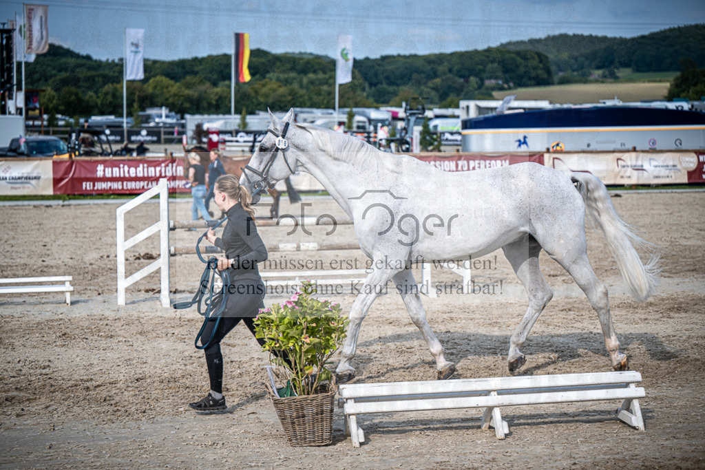 DOS_3046 | Entdecke hochwertige Reitturnierfotos von Foto Oger. Professionell, emotional und authentisch – jetzt Lieblingsmomente im Shop bestellen.Deutschlandweite Turnierfotografie. - Realisiert mit Pictrs.com
