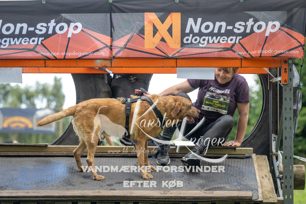 1311_ZZ94728-Bearbeitet | kk-dogfotos