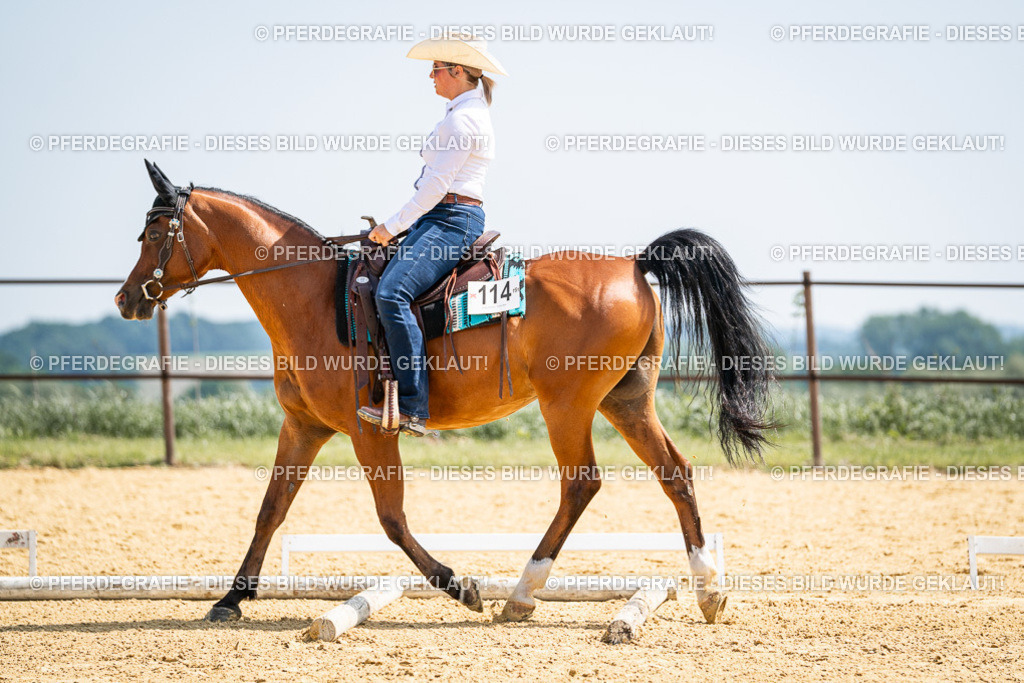 DSC00406 | Pferdegrafie