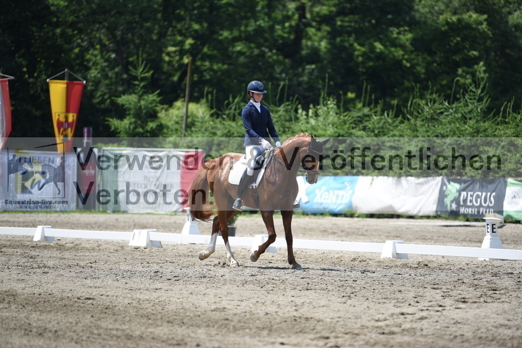 DSC_0590 | equestrian-live-com