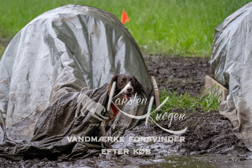 1642_ZZ90087 | kk-dogfotos