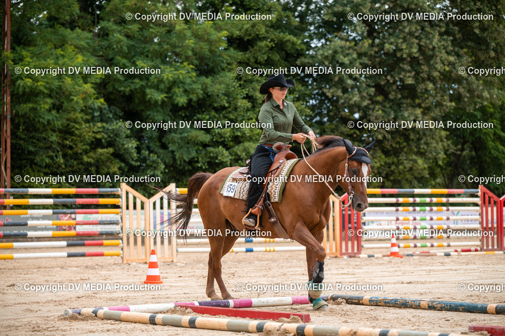 ZS2_8366 | dv-media-shop - Realisiert mit Pictrs.com