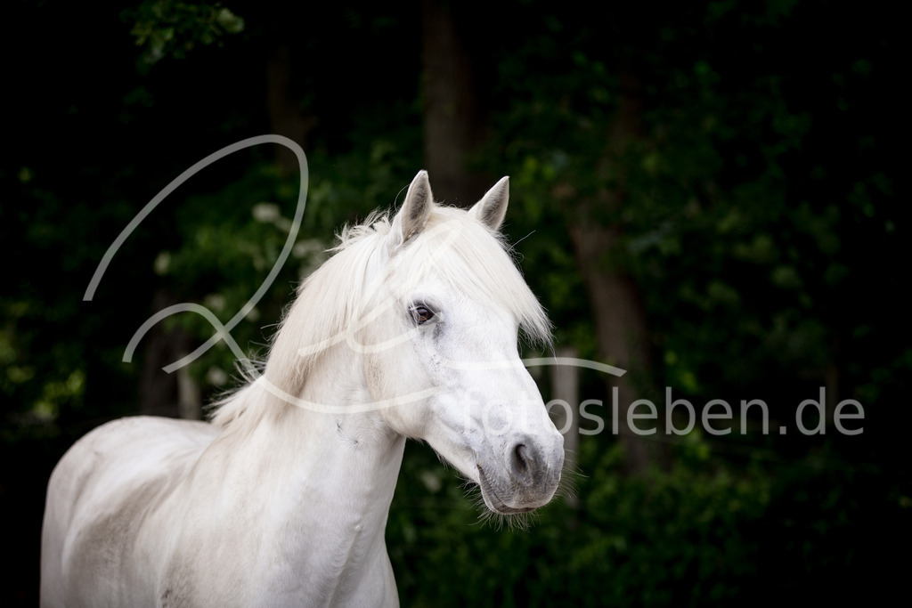 846A0467 | fotosleben - Realisiert mit Pictrs.com