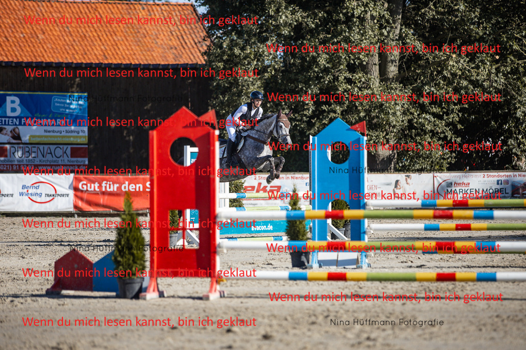 BK1A7532 | Turnierbilder Turnierfotos Nina Hüffmann Turnierfotografie Pferdefotografie Tierzeichnung Haustierzeichnung Pferdezeichnung Hundezeichnung Videograf  - Realisiert mit Pictrs.com