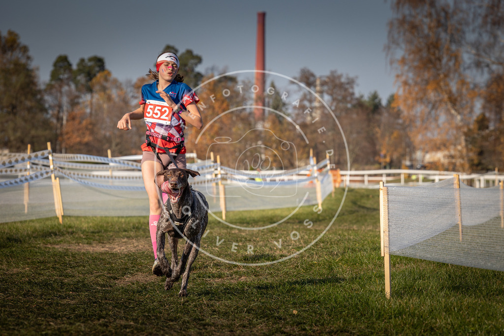 CaniXpix_0L8A9154 | Hundefotografie, Tierfotograf, Pfotenfotografie, Fotoshooting Hund, Hunde Portrait, Hundesport, Hundeportraits, Heideshooting, Hunde, Sportfotograf, Hundefotograf, Turnierhundsport, THS,  - Realisiert mit Pictrs.com