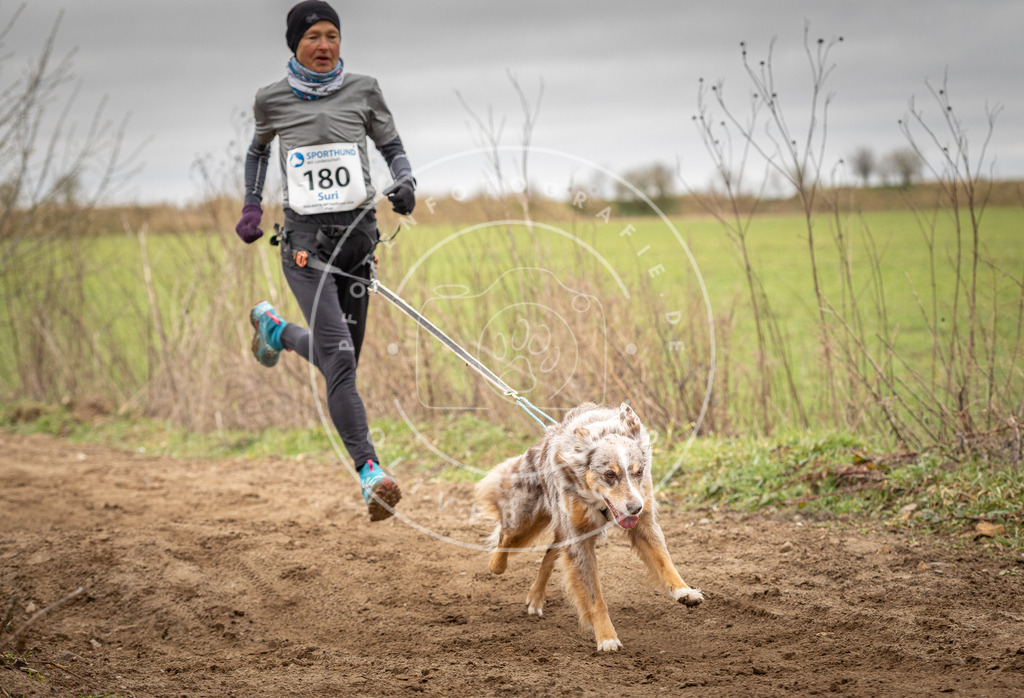 DV3A2100 | Hundefotografie, Tierfotograf, Pfotenfotografie, Fotoshooting Hund, Hunde Portrait, Hundesport, Hundeportraits, Heideshooting, Hunde, Sportfotograf, Hundefotograf, Turnierhundsport, THS,  - Realisiert mit Pictrs.com
