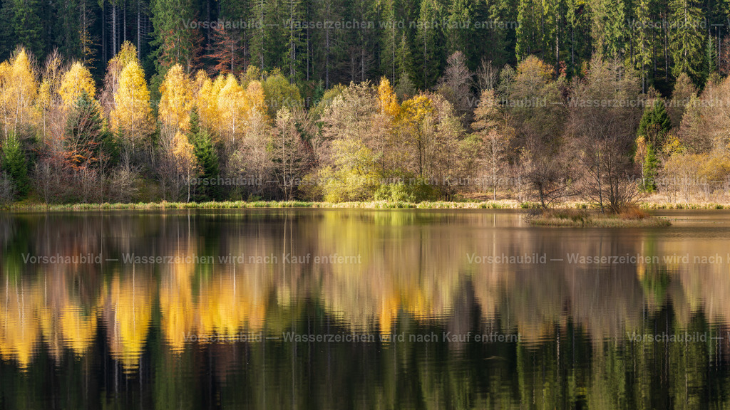 Sankenbachsee im Schwarzwald | im Herbst - Realisiert mit Pictrs.com