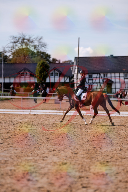 2026_10_03_Siefer-Hof_133055_Z81_84100551 | Professionelle Reitsport-, Turnier- und Eventfotografie von Robert Broda. Galerien mit ausgewählten und bearbeiteten Bildern direkt online ansehen und bestellen.