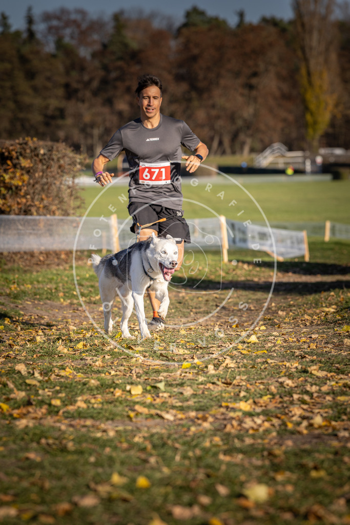 CaniXpix_DV3A0856 | Hundefotografie, Tierfotograf, Pfotenfotografie, Fotoshooting Hund, Hunde Portrait, Hundesport, Hundeportraits, Heideshooting, Hunde, Sportfotograf, Hundefotograf, Turnierhundsport, THS,  - Realisiert mit Pictrs.com
