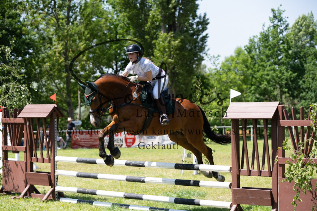 A7V06019 | Pferdefotograf