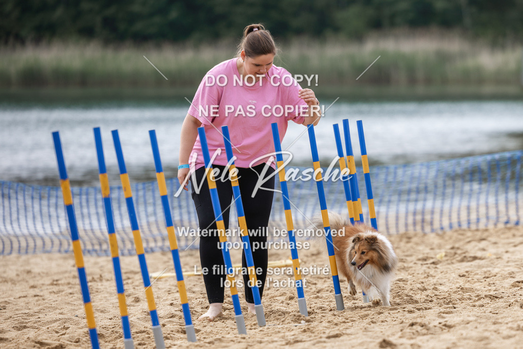 nelerasche_BuHu2026_So1530-Ende_144 | nelerasche