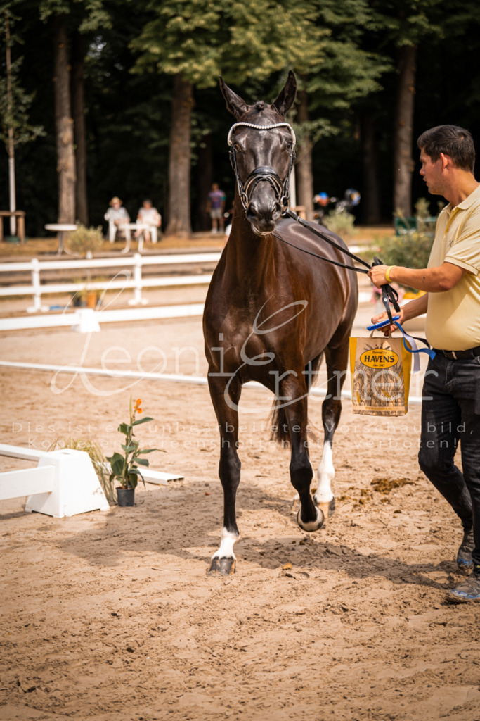 4.Fr00224 | Leoni Ertmer Photography - Realisiert mit Pictrs.com