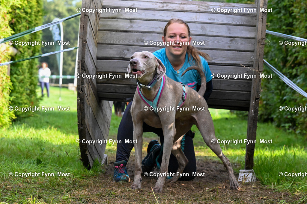 DSC_6229 | Hallo und herzlich Willkommen auf meiner Shop-Seite Fynn Most.

Ich wünsche Dir viel Spaß beim stöbern durch die Bilder, wenn Du Fragen hast oder Bilder vermisst, kannst du mir gerne eine Nachricht schreiben. - Realisiert mit Pictrs.com