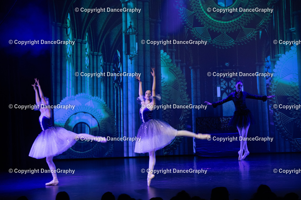 GPHY1564 | DanceGraphy - Realisiert mit Pictrs.com