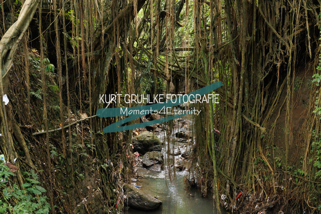 230718-0292 | onlinegalerie und Fotoshop Kurt Gruhlke Fotograf Berlin
Hochzeitsfotograf Eventfotograf Portraitfotografie
 - Realisiert mit Pictrs.com