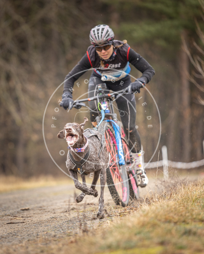 DV3A3174 | Hundefotografie, Tierfotograf, Pfotenfotografie, Fotoshooting Hund, Hunde Portrait, Hundesport, Hundeportraits, Heideshooting, Hunde, Sportfotograf, Hundefotograf, Turnierhundsport, THS,  - Realisiert mit Pictrs.com