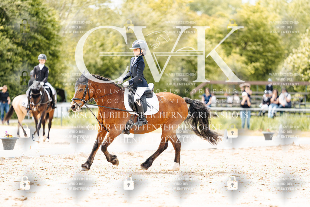 CK902342 | Turnierfotografie Pferdefotografie Trier Rheinland-Pfalz Pferdesport Reitsport Tierfotografie Sportfotografie Pferdevideo Pferdevideografie Equestrianvideography equestrianphotography  - Realisiert mit Pictrs.com