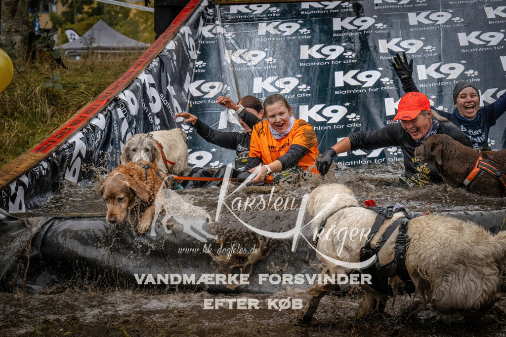 1213_ZZ94772 | kk-dogfotos