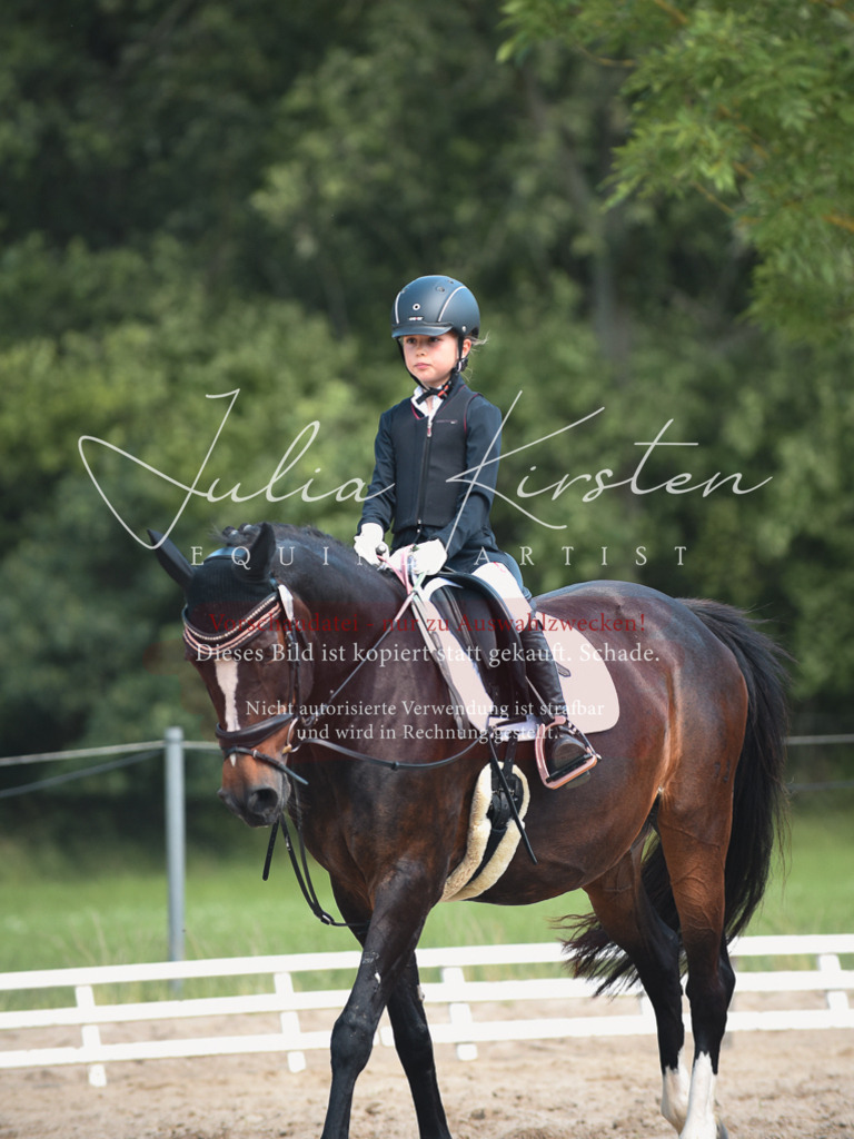 DSC_2382 | Pferde- und Turnierfotografie in Westsachsen. Pferdeportraits, Auftragszeichnungen und intuitive Kunst.